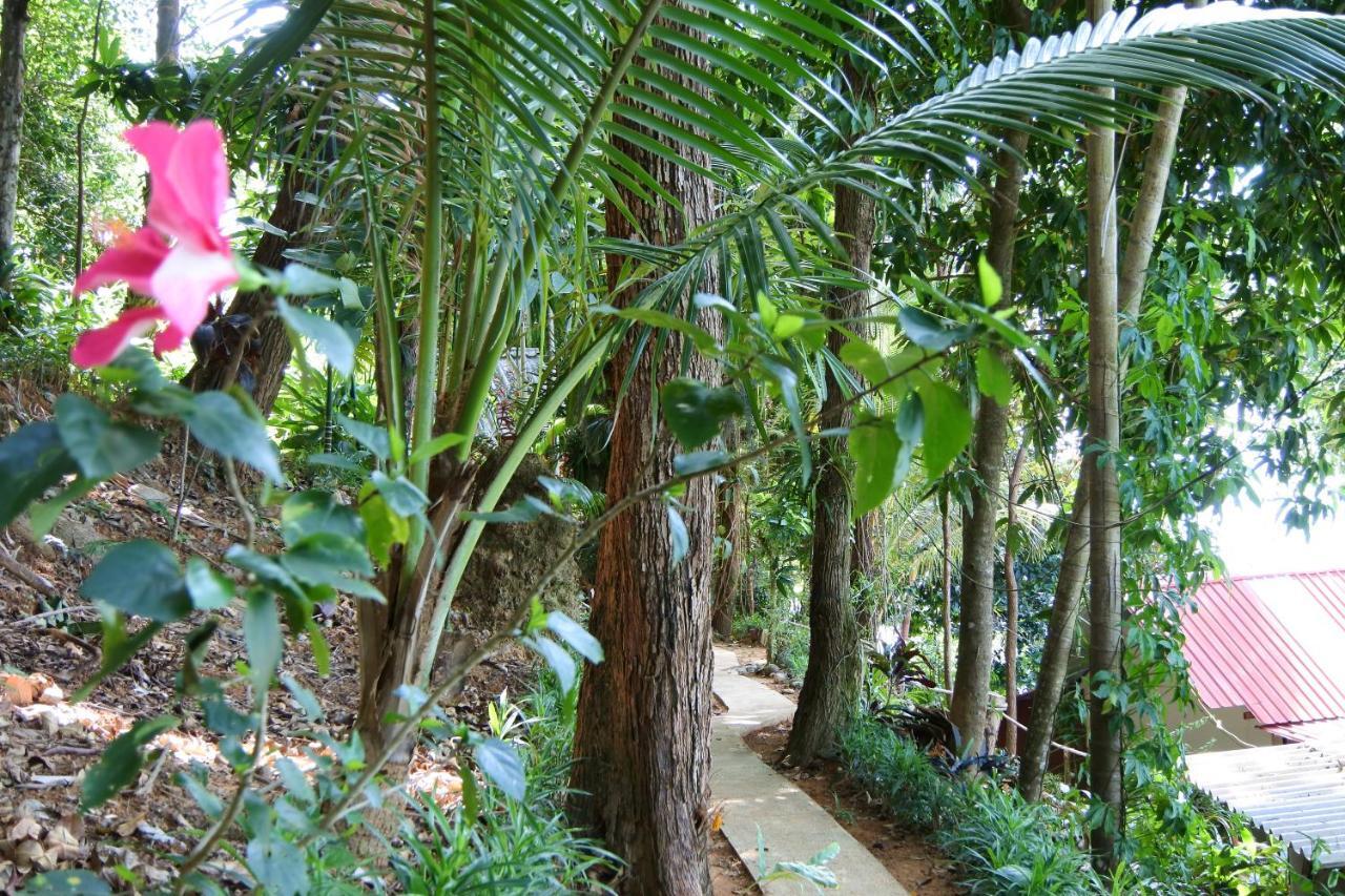 Nice View Bungalow Koh Chang Ranong Buitenkant foto